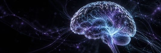 New Frontiers in Alzheimer’s Research. A Clearer Look at Everyday Brain Wellness.